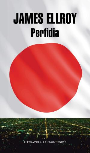 Cover of the book Perfidia by Ruth M. Lerga