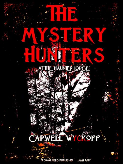 Cover of the book The Mystery Hunters at the Haunted Lodge by Capwell Wyckoff, THE SAALFIELD PUBLISHING COMPANY