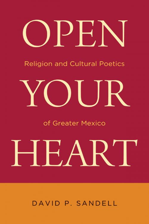 Cover of the book Open Your Heart by David P. Sandell, University of Notre Dame Press