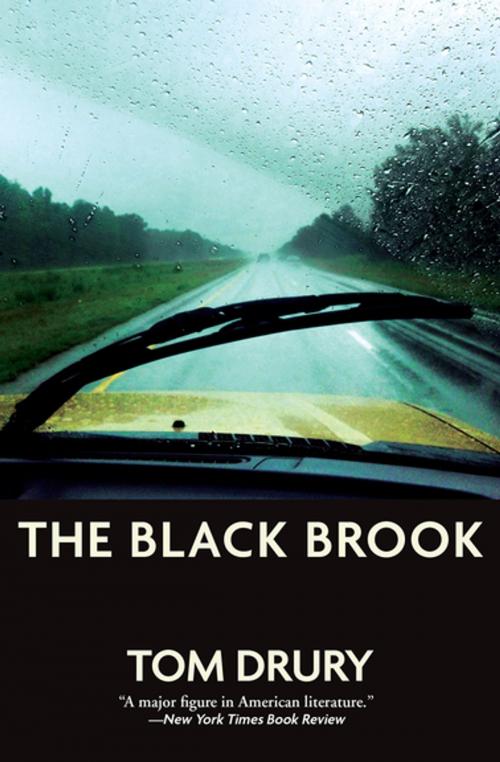 Cover of the book The Black Brook by Tom Drury, Grove Atlantic