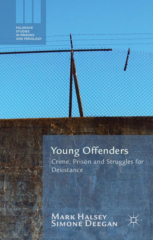 Cover of the book Young Offenders by M. Halsey, S. Deegan, Palgrave Macmillan UK