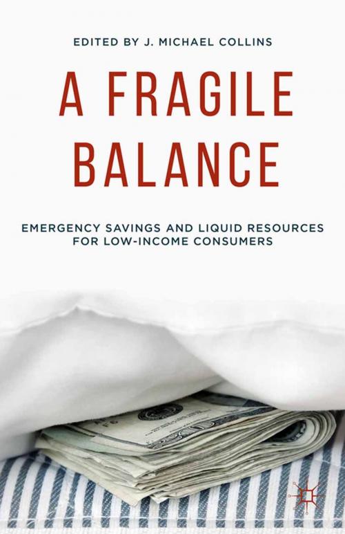 Cover of the book A Fragile Balance by , Palgrave Macmillan US