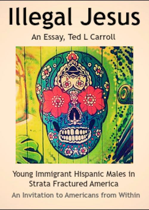 Cover of the book Illegal Jesus: Young Immigrant Hispanic Males in Strata Fractured America - An Invitation to Americans from Within by Ted L Carroll, Ted L Carroll