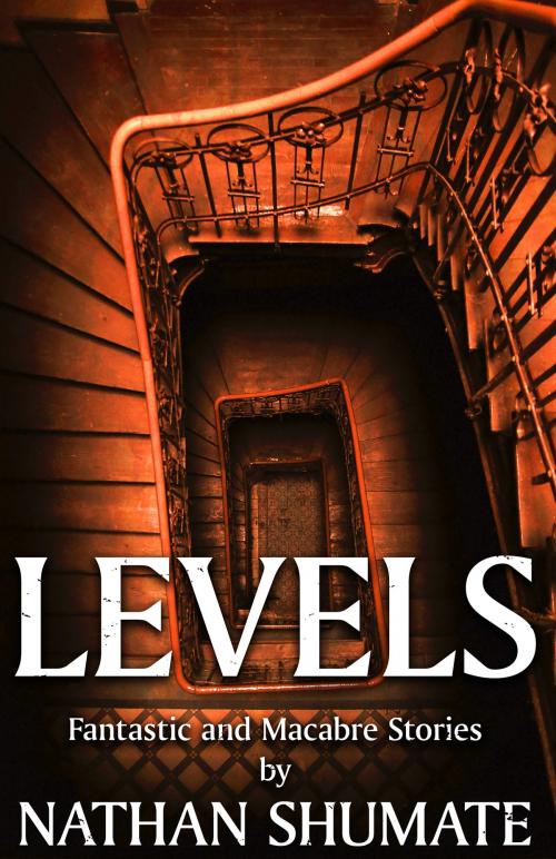Cover of the book Levels: Fantastic and Macabre Stories by Nathan Shumate, Nathan Shumate