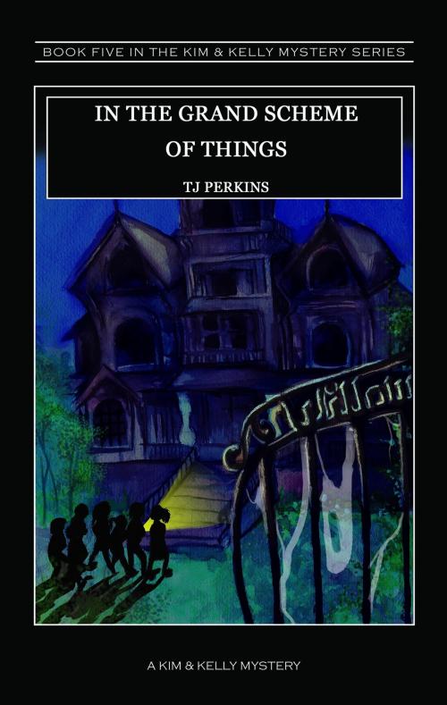 Cover of the book In the Grand Scheme of Things by TJ Perkins, TJ Perkins