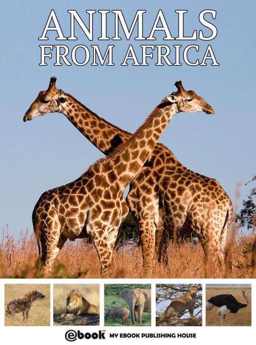 Cover of the book Animals from Africa by My Ebook Publishing House, My Ebook Publishing House