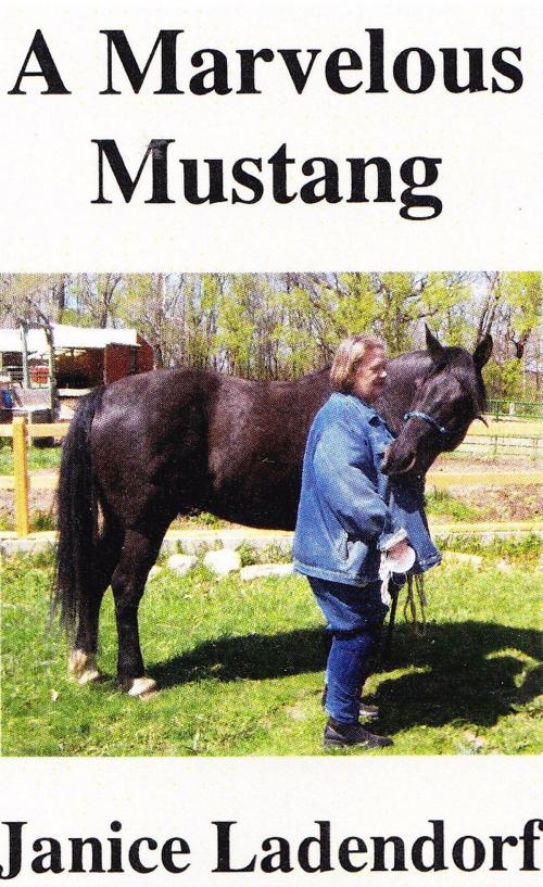 Cover of the book A Marvelous Mustang: Tales from the Life of a Spanish Horse by Janice Ladendorf, Janice Ladendorf