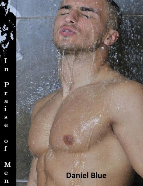 Cover of the book In Praise of Men by Daniel Blue, Lulu.com