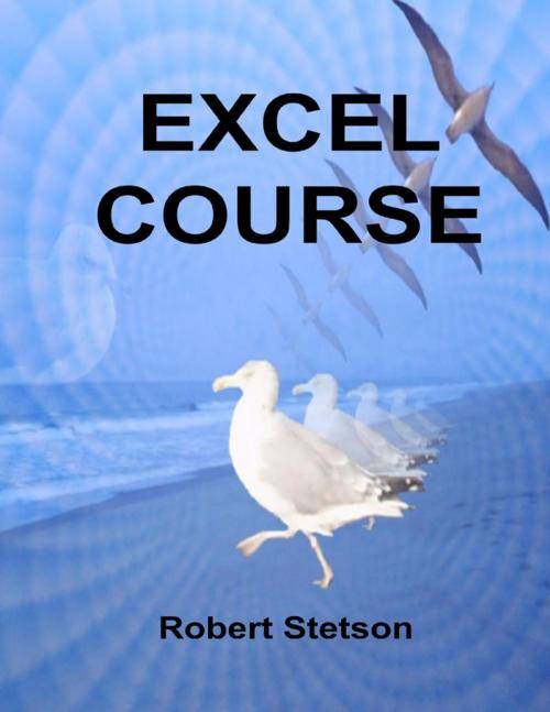 Cover of the book Excel Course by Robert Stetson, Lulu.com