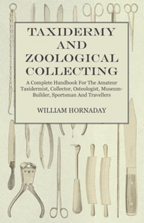 Cover of the book Taxidermy and Zoological Collecting - A Complete Handbook for the Amateur Taxidermist, Collector, Osteologist, Museum-Builder, Sportsman and Travellers by William Hornaday, Read Books Ltd.