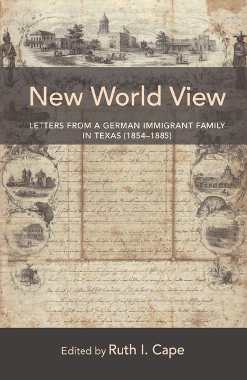 Cover of the book New World View by , Peter Lang