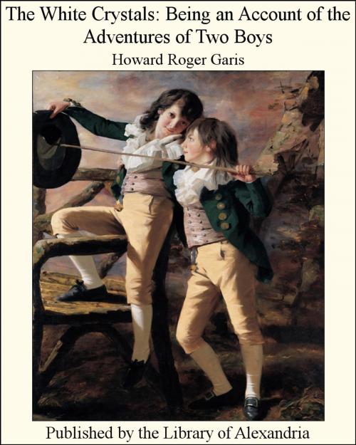 Cover of the book The White Crystals Being an Account of the Adventures of Two Boys by Howard Roger Garis, Library of Alexandria