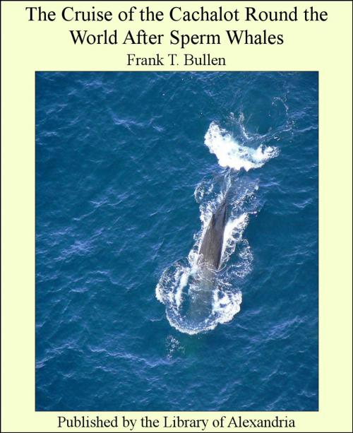 Cover of the book The Cruise of the Cachalot Round the World After Sperm Whales by Frank T. Bullen, Library of Alexandria