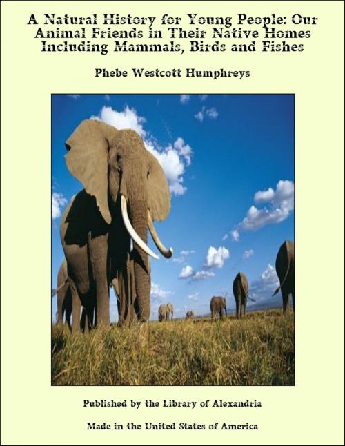 Cover of the book A Natural History for Young People: Our Animal Friends in Their Native Homes Including Mammals, Birds and Fishes by Phebe Westcott Humphreys, Library of Alexandria