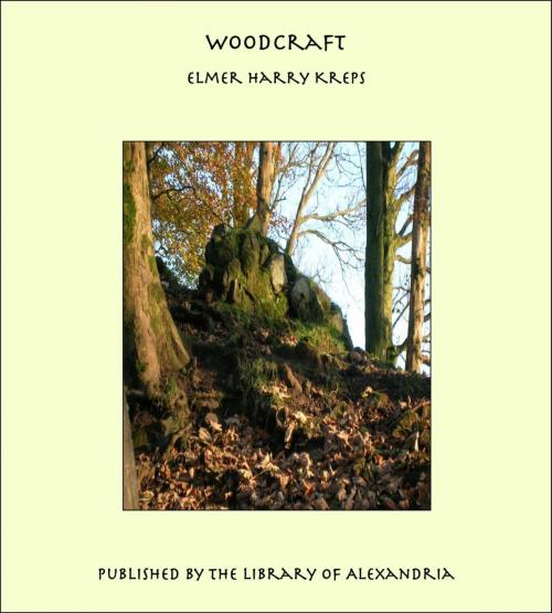 Cover of the book Woodcraft by Elmer Harry Kreps, Library of Alexandria