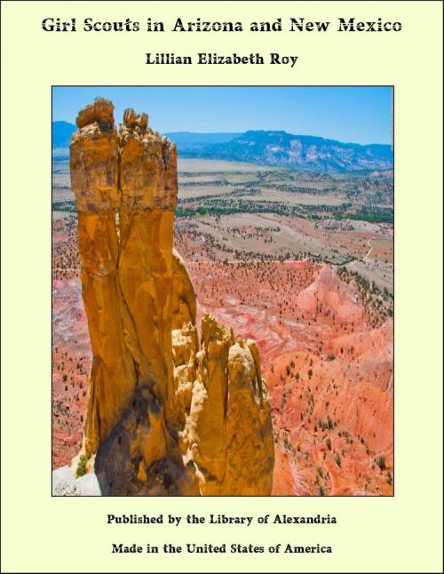 Cover of the book Girl Scouts in Arizona and New Mexico by Lillian Elizabeth Roy, Library of Alexandria