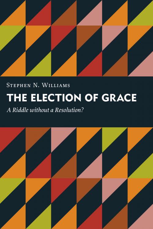 Cover of the book The Election of Grace by Stephen N. Williams, Wm. B. Eerdmans Publishing Co.