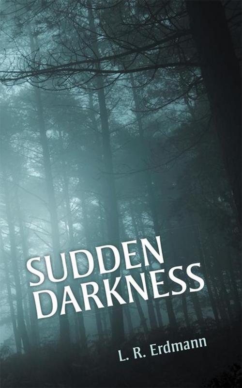 Cover of the book Sudden Darkness by L. R. Erdmann, Archway Publishing