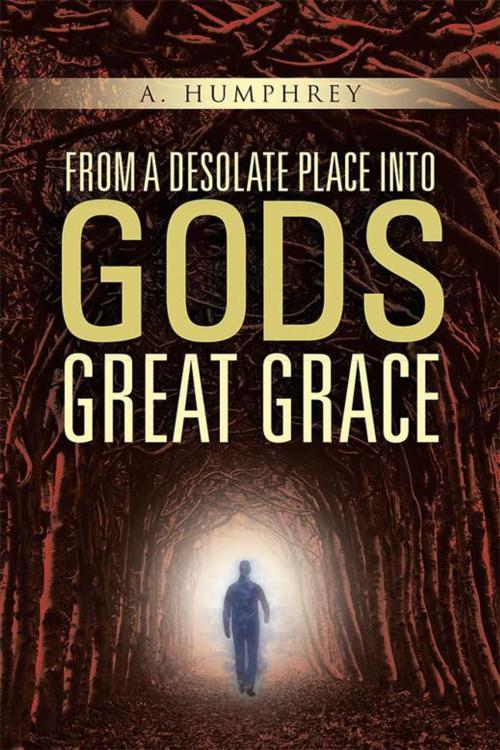 Cover of the book From a Desolate Place into God's Great Grace by A. Humphrey, WestBow Press