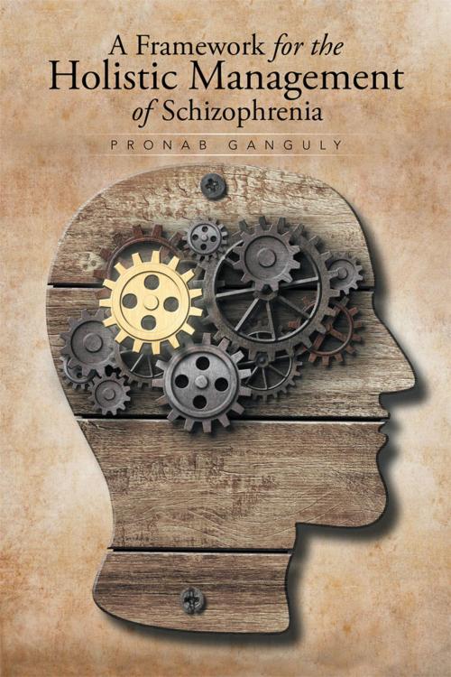 Cover of the book A Framework for the Holistic Management of Schizophrenia by Pronab Ganguly, Xlibris AU