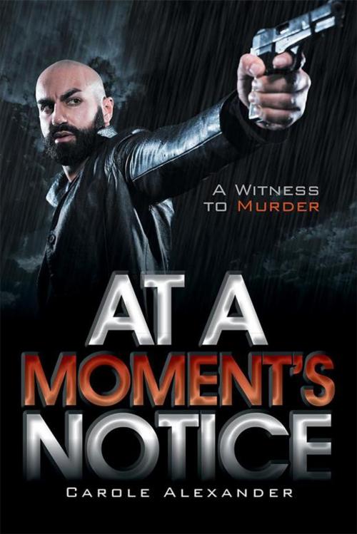 Cover of the book At a Moment’S Notice by Carole Alexander, Xlibris US