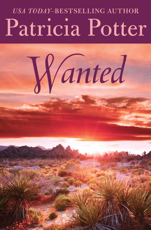 Cover of the book Wanted by Patricia Potter, Open Road Media