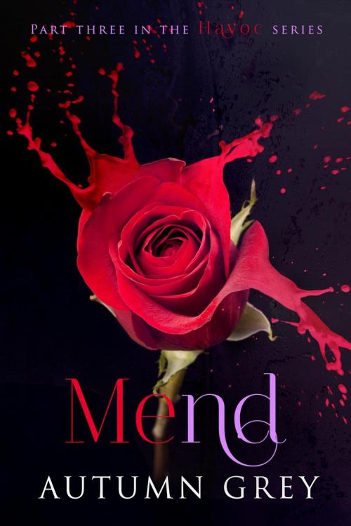 Cover of the book Mend by Autumn Grey, Autumn Grey