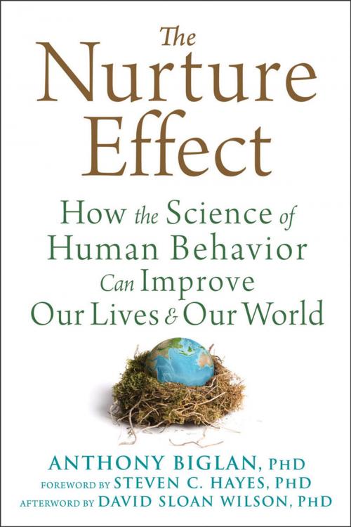 Cover of the book The Nurture Effect by Anthony Biglan, PhD, David Sloan Wilson, PhD, New Harbinger Publications