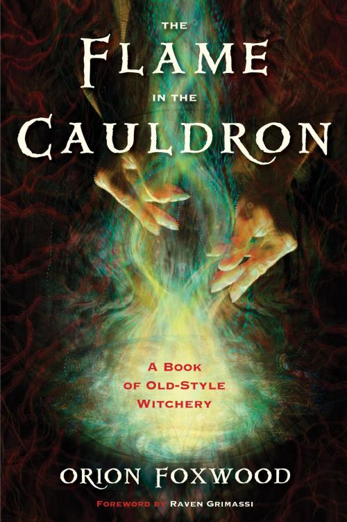 Cover of the book The Flame in the Cauldron by Orion Foxwood, Red Wheel Weiser