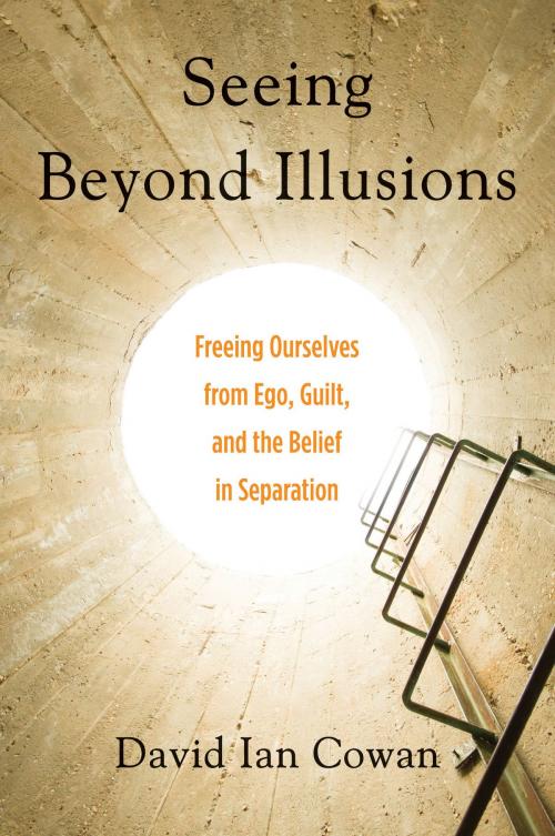 Cover of the book Seeing Beyond Illusions by David Cowan, Red Wheel Weiser
