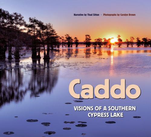 Cover of the book Caddo by Carolyn Elizabeth Brown, Texas A&M University Press
