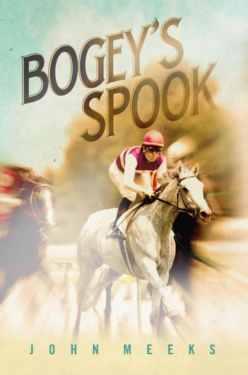 Cover of the book Bogey's Spook by John Meeks, Bookbaby