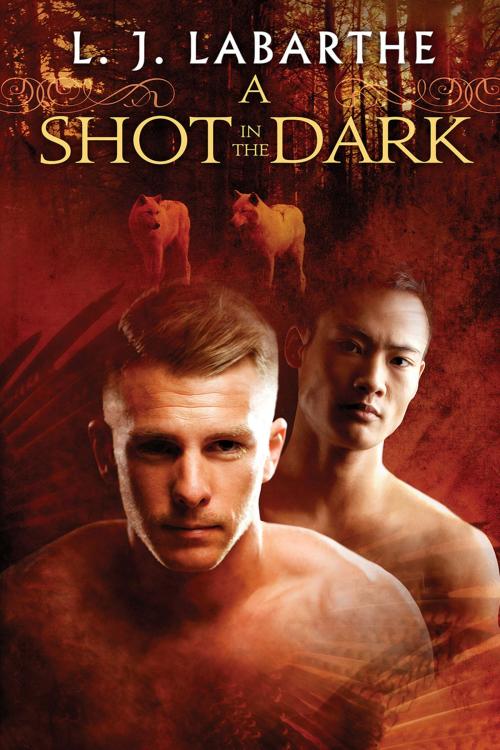 Cover of the book A Shot in the Dark by L.J. LaBarthe, Dreamspinner Press