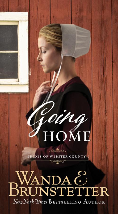 Cover of the book Going Home by Wanda E. Brunstetter, Barbour Publishing, Inc.