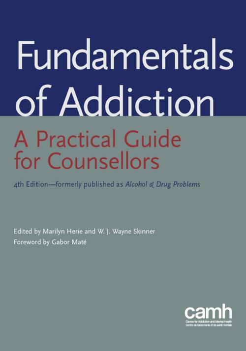 Cover of the book Fundamentals of Addiction by , Centre for Addiction and Mental Health