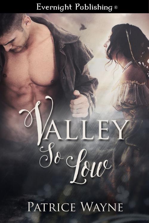 Cover of the book Valley So Low by Patrice Wayne, Evernight Publishing