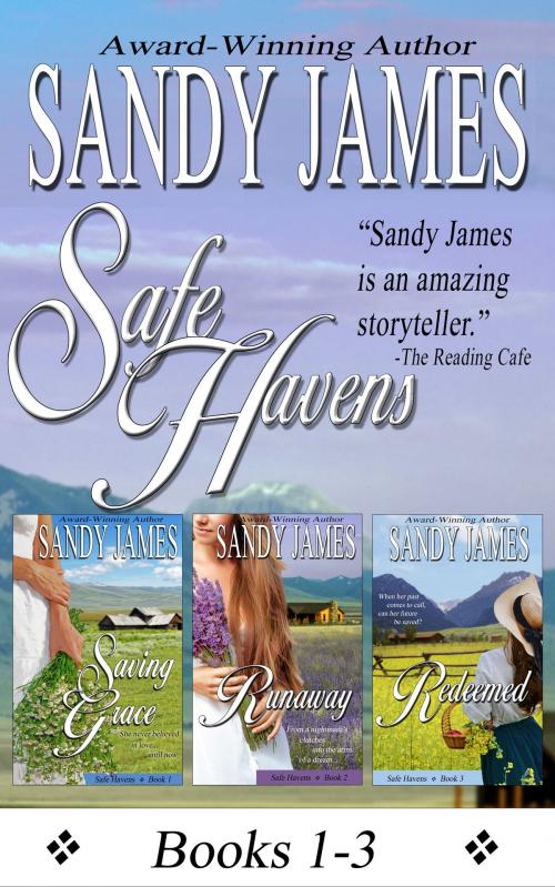 Cover of the book Safe Havens Bundle by Sandy James, Sandy James