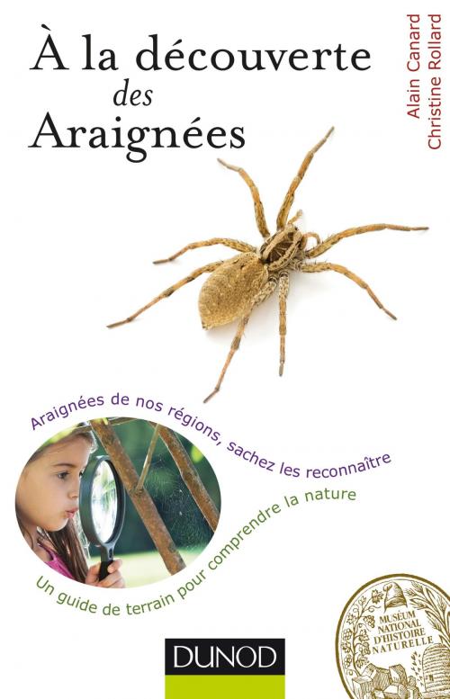 Cover of the book A la découverte des Araignées by Alain Canard, Christine Rollard, Dunod