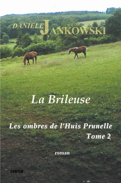 Cover of the book Les ombres de l'Huis Prunelle - Tome 2 by Danièle Jankowski, Editions Gunten