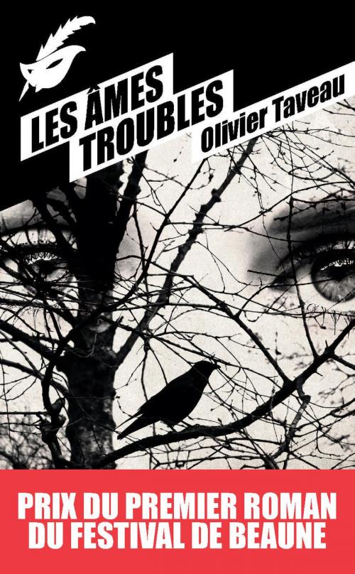 Cover of the book Les Âmes troubles - Prix du premier roman du festival de Beaune 2015 by Olivier Taveau, Le Masque