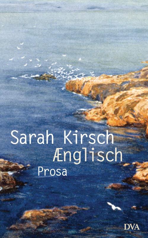 Cover of the book Ænglisch by Sarah Kirsch, Deutsche Verlags-Anstalt