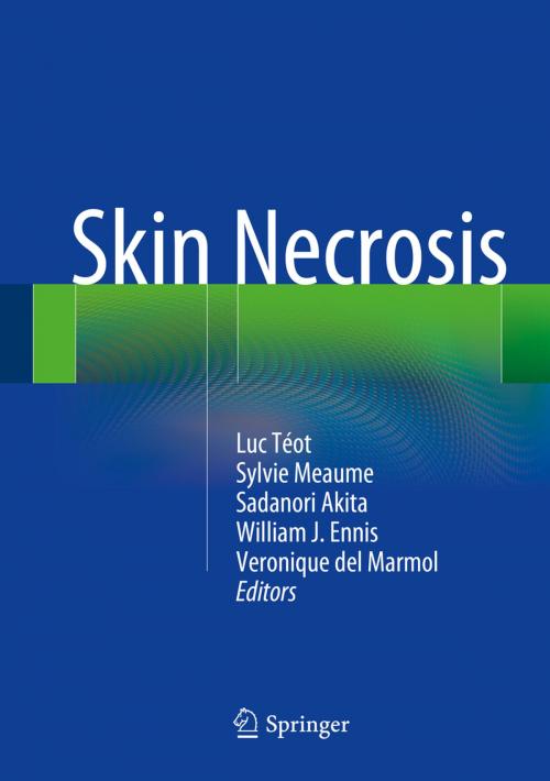 Cover of the book Skin Necrosis by , Springer Vienna