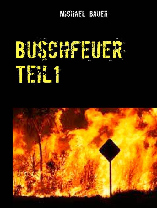 Cover of the book Buschfeuer by Michael Bauer, BoD E-Short