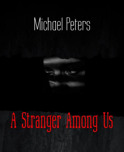 Cover of the book A Stranger Among Us by Michael Peters, BookRix
