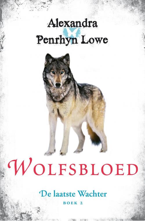 Cover of the book Wolfsbloed by Alexandra Penrhyn Lowe, Bruna Uitgevers B.V., A.W.