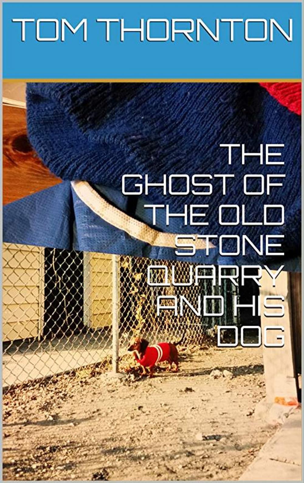 Big bigCover of THE GHOST OF THE OLD STONE QUARRY AND HIS DOG