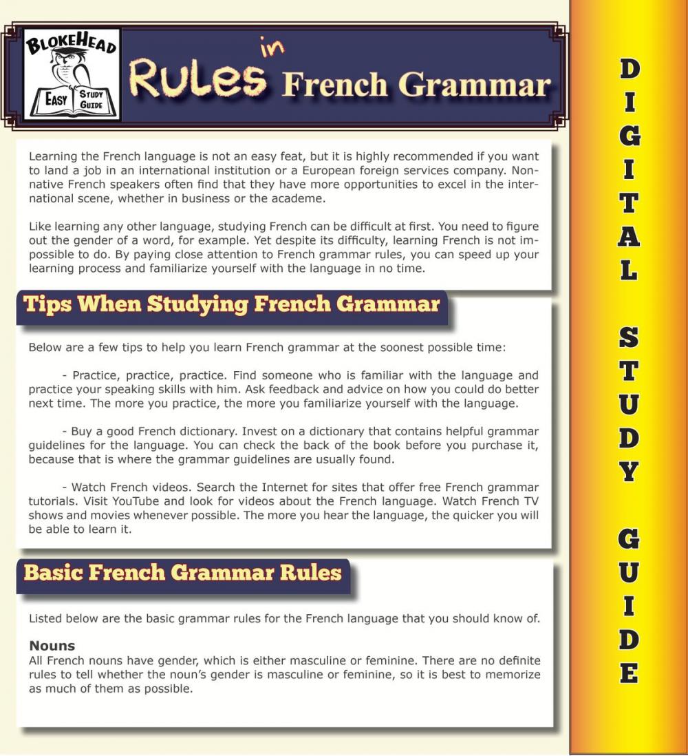 Big bigCover of Rules In French Grammar ( Blokehead Easy Study Guide)