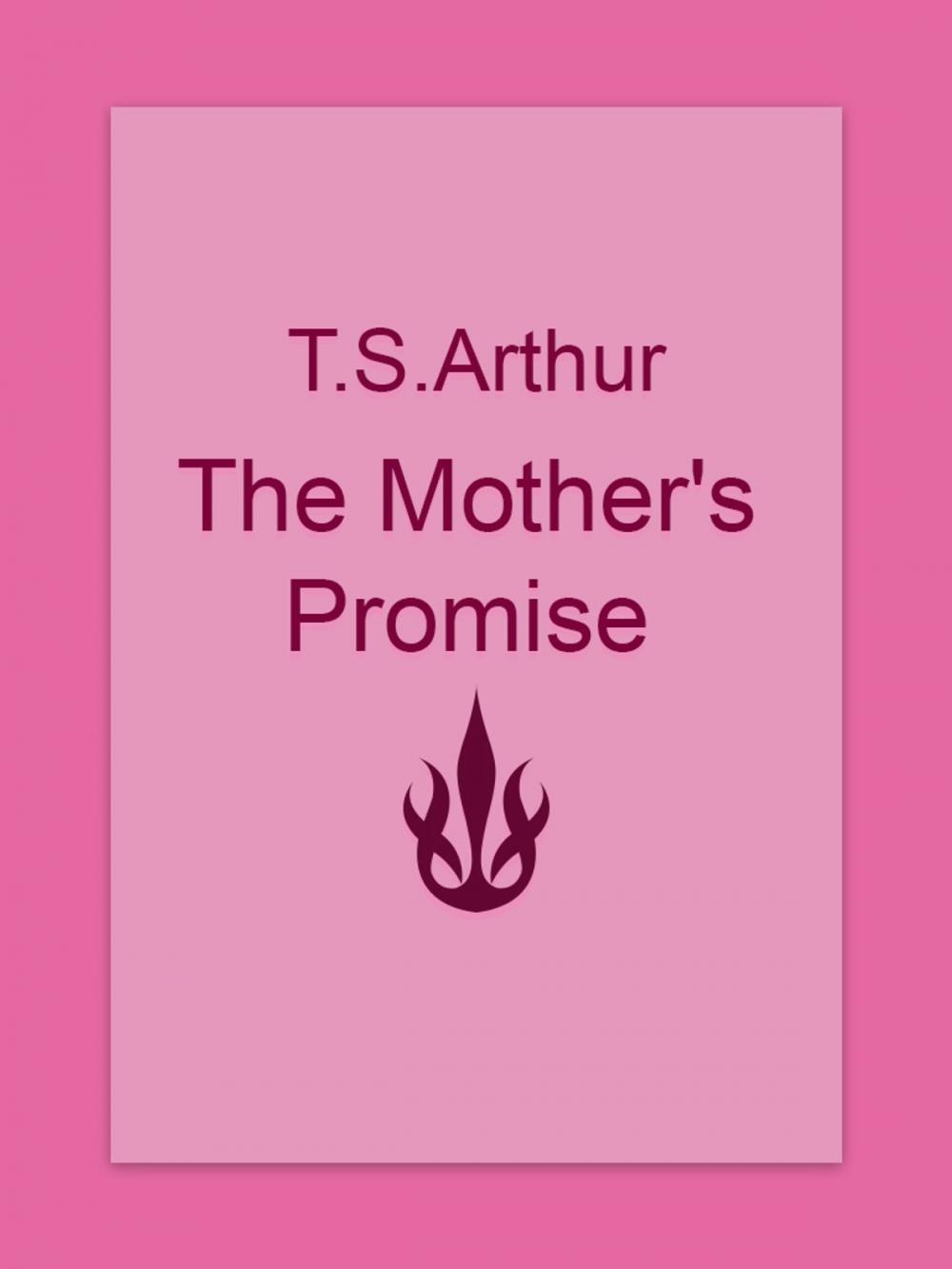 Big bigCover of The Mother's Promise