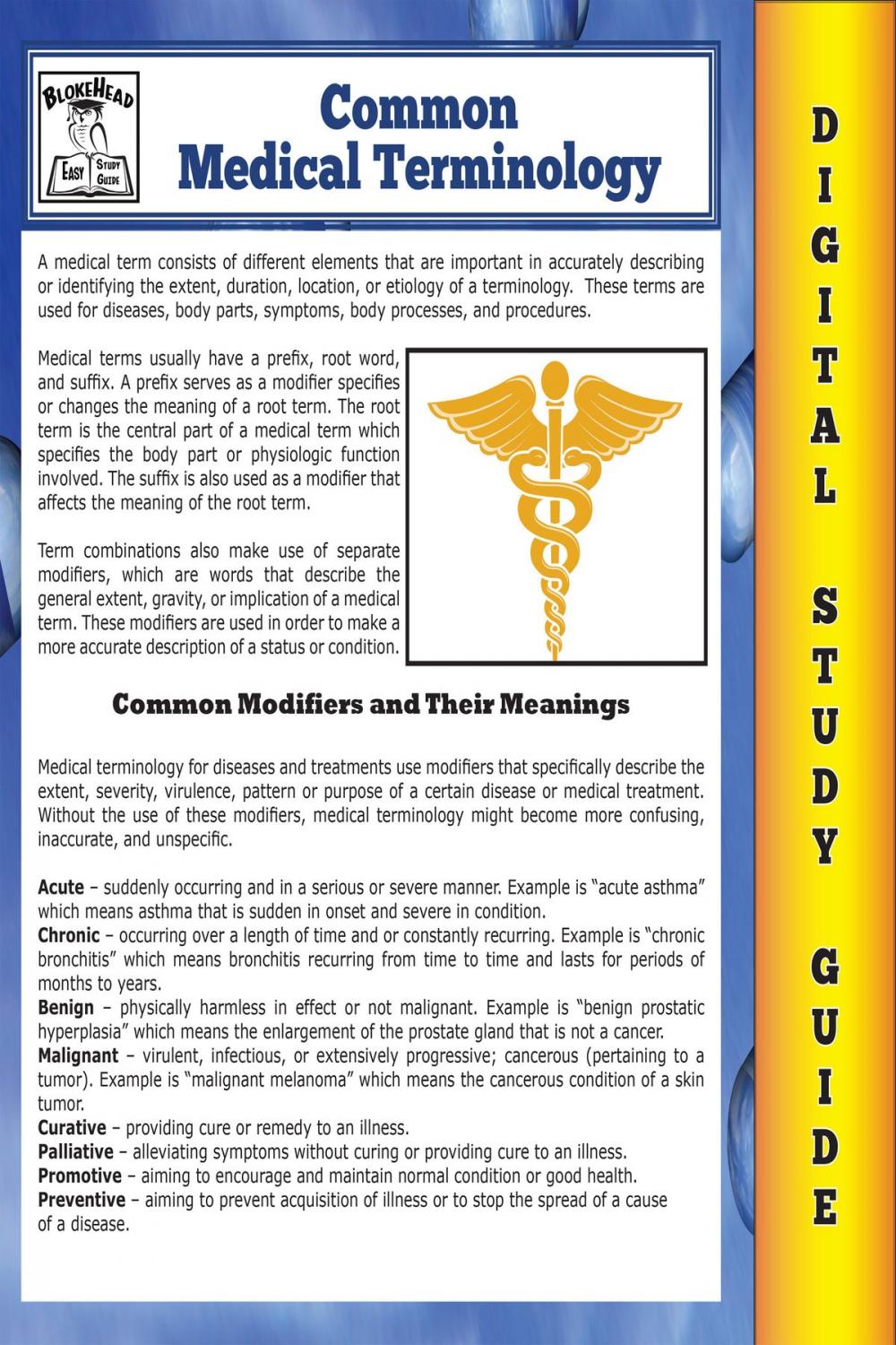 Big bigCover of Common Medical Terminology ( Blokehead Easy Study Guide)