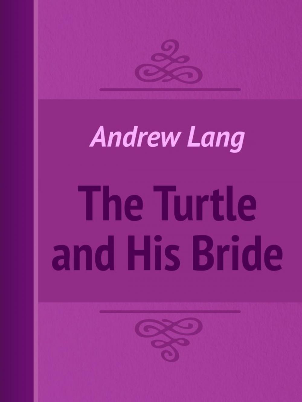 Big bigCover of The Turtle and His Bride